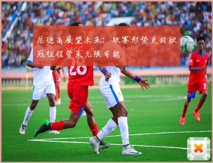 厄德高展望未来：联赛形势良好欧冠征程带来无限可能