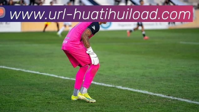 华体会体育APP 封面图